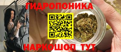 прущие крисы Гусь-Хрустальный