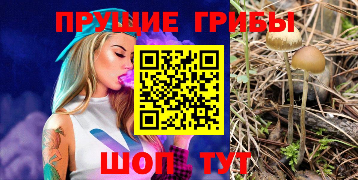 Углич  Галлюциногенные грибы Psilocybine cubensis  Вход с VPN 