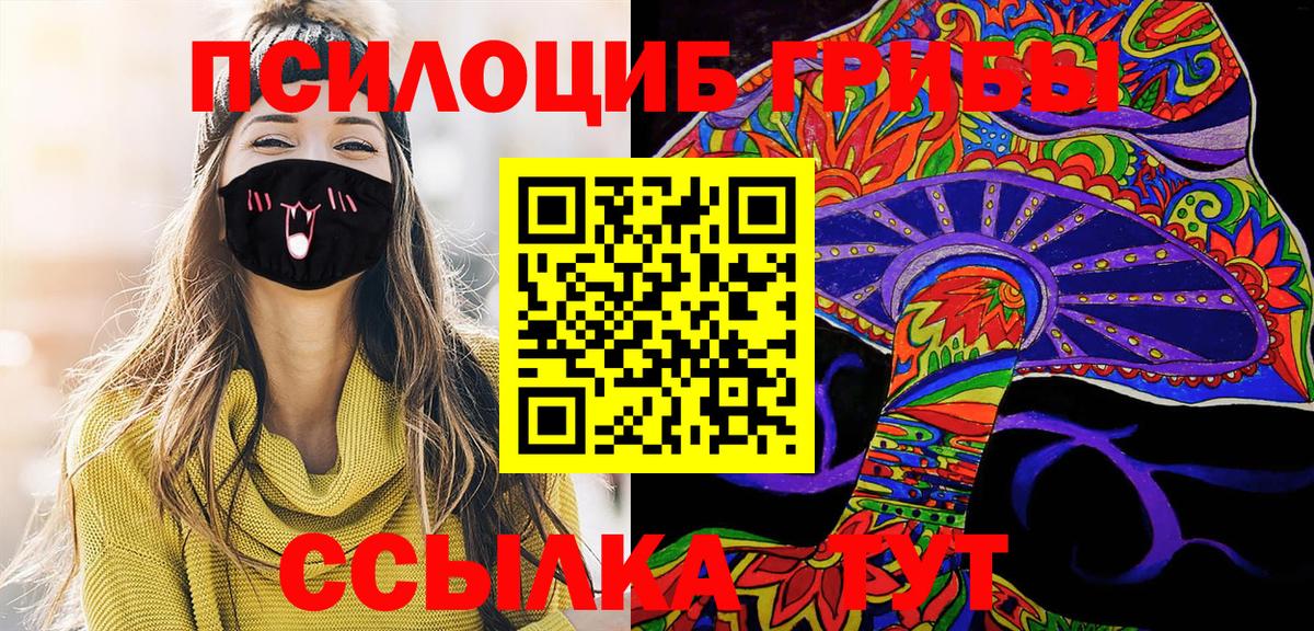 Псилоцибиновые грибы Psilocybine cubensis Углич